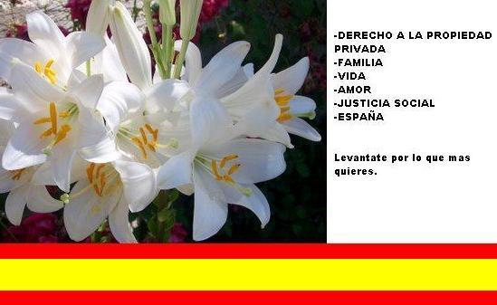 adelantevalores
